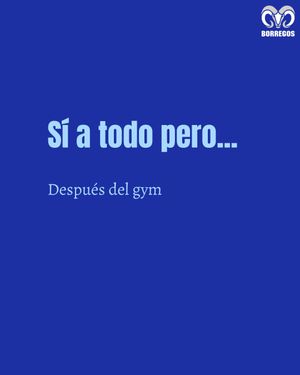 Image post by @borregostec on Instagram