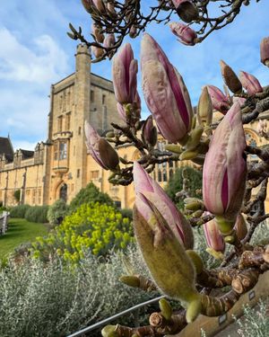Image post by @oxford_uni on Instagram