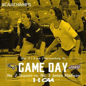 Image post by @towsontigersvb on Instagram