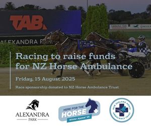 Image post by @nzhorseambulancetrust on Facebook