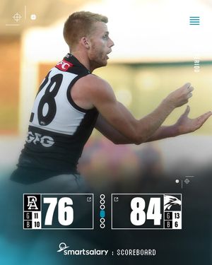 Image post by @pafc on Instagram