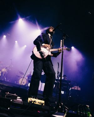 Image post by @localwolves on Instagram