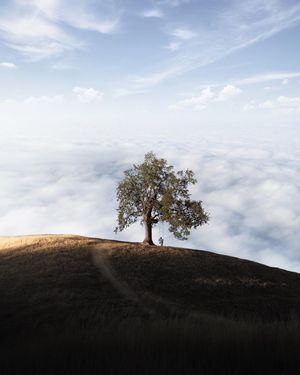 Image post by @vsco on Instagram