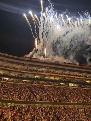 Image post by @lsutigertv on Instagram