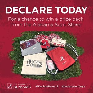 Image post by @ua_admissions on Instagram