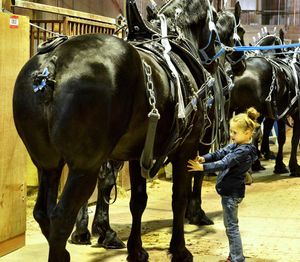 Image post by @nationalwestern on Instagram