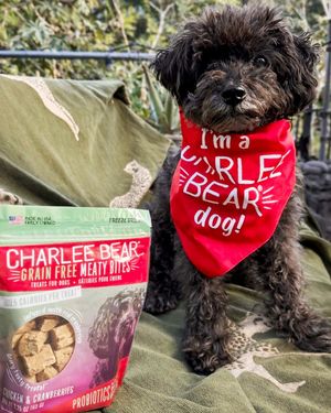 Image post by @charlee_bear_dogtreats on Instagram