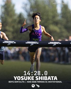 Image post by @dyestat on Instagram