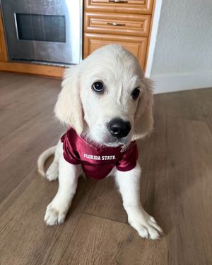 Image post by @barstoolfsu on Instagram
