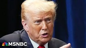 Video post by @msnbc on YouTube