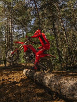 Image post by @ducati on Instagram
