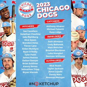Image post by @thechicagodogs on Instagram