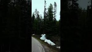 Video post by @cmcalgary on YouTube
