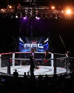 Image post by @pflmma on Instagram