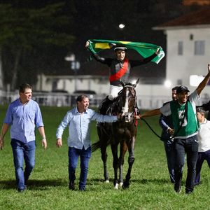 Image post by @worldhorseracing on Instagram