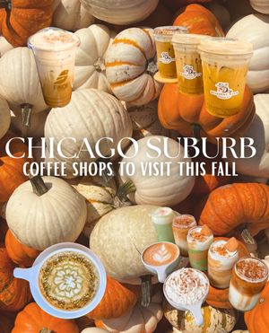 Image post by @exploreschicago on Instagram