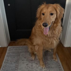 Image post by @thegoldenbreakfastclub on Instagram