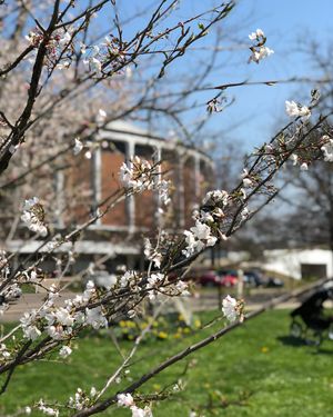 Image post by @ohio.university on Instagram