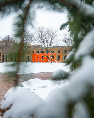 Image post by @bgsubiz on Instagram