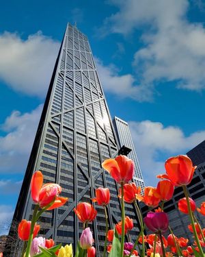 Image post by @360chicago on Instagram