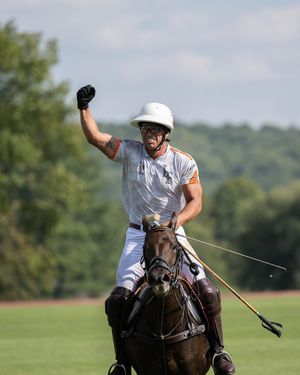 Image post by @greenwichpoloclub on Instagram