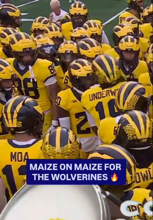 Video post by @nbcsports on TikTok