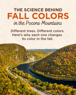 Image post by @poconotourism on Instagram