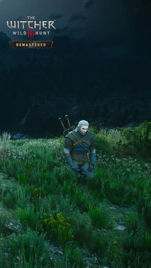 Video post by @thewitcher on Instagram