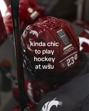 Image post by @wsu_hockey_ on Instagram