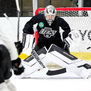 Image post by @goaliegearnerd on Instagram
