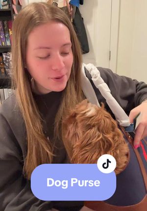 Video post by @on_thedaily_with_morgan on TikTok