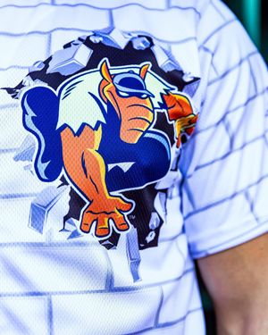 Image post by @biscuitbaseball on Instagram