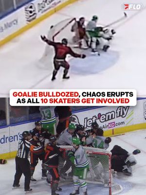 Image post by @flohockey on Instagram