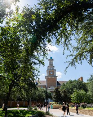 Image post by @unt on Instagram