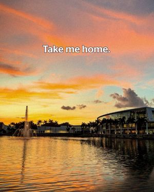 Image post by @univmiami on Instagram