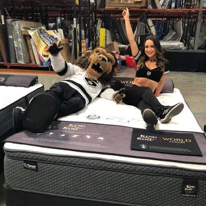 Image post by @lakingsicecrew on Instagram