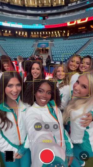 Video post by @dolphinscheer on TikTok