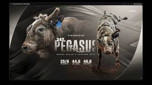 Video post by @pbr on YouTube