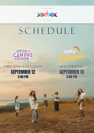 Image post by @vvink_ph on TikTok
