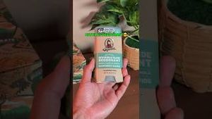 Video post by @drsquatch on YouTube