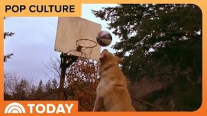 Video post by @today on YouTube