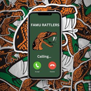 Image post by @famu_softball on Instagram