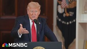 Video post by @msnbc on YouTube