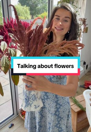 Video post by @gardeningwithlou on TikTok