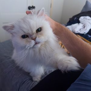 Image post by @rickymalcolm on Instagram