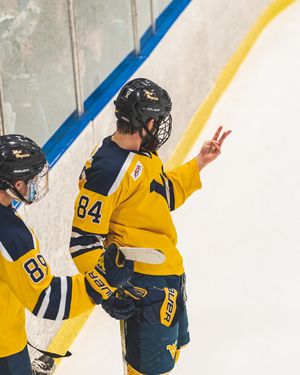 Image post by @wvuhockeyd2 on Instagram