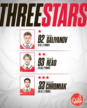 Image post by @ohlicedogs on Instagram