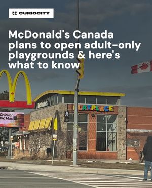 Image post by @curiocitycalgary on Instagram