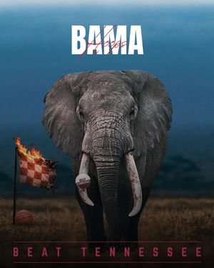 Image post by @barstoolalabama on Instagram