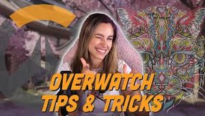 Video post by @haylinictv on YouTube